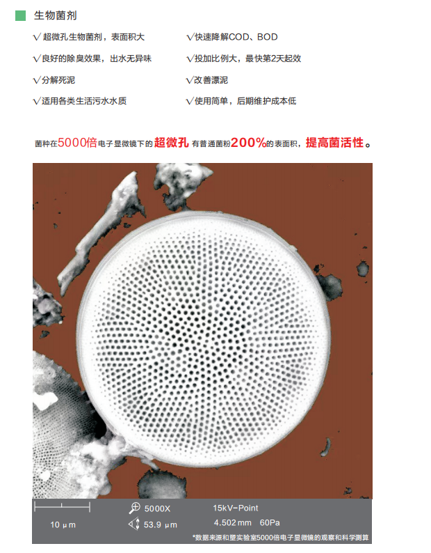 生活污水無害化與資源化技術